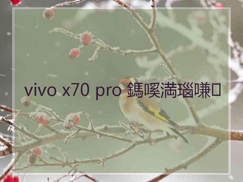 vivo x70 pro 鎷嗘満瑙嗛