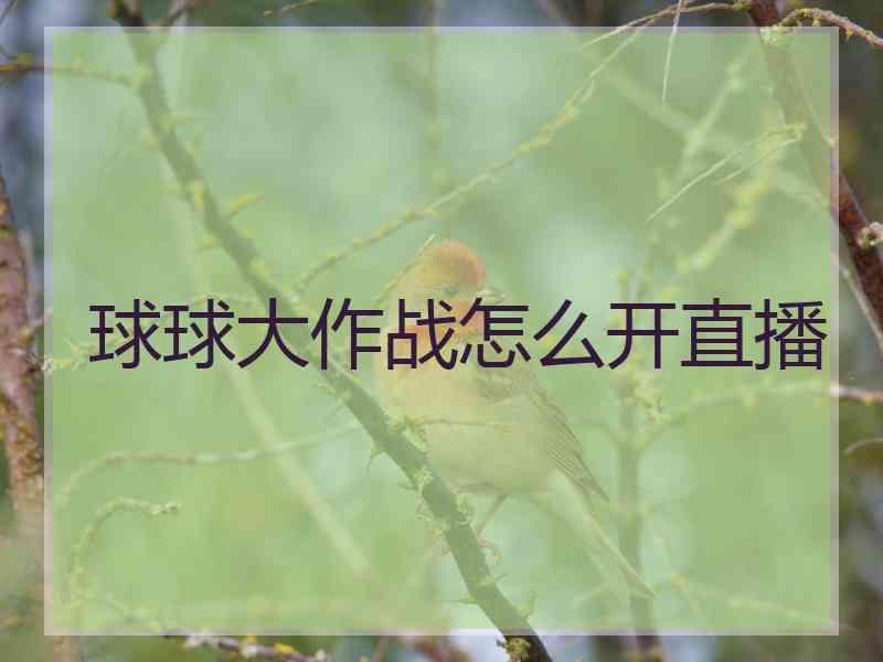 球球大作战怎么开直播