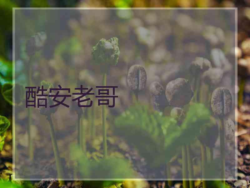 酷安老哥