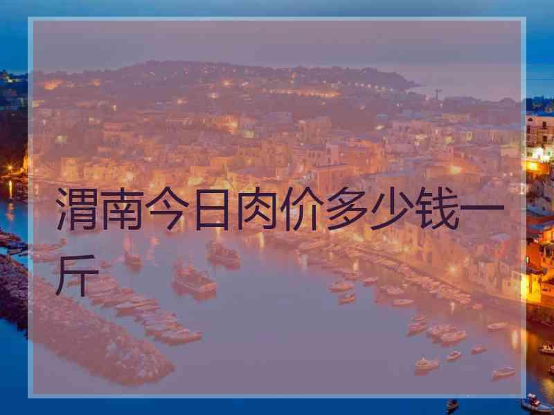 渭南今日肉价多少钱一斤
