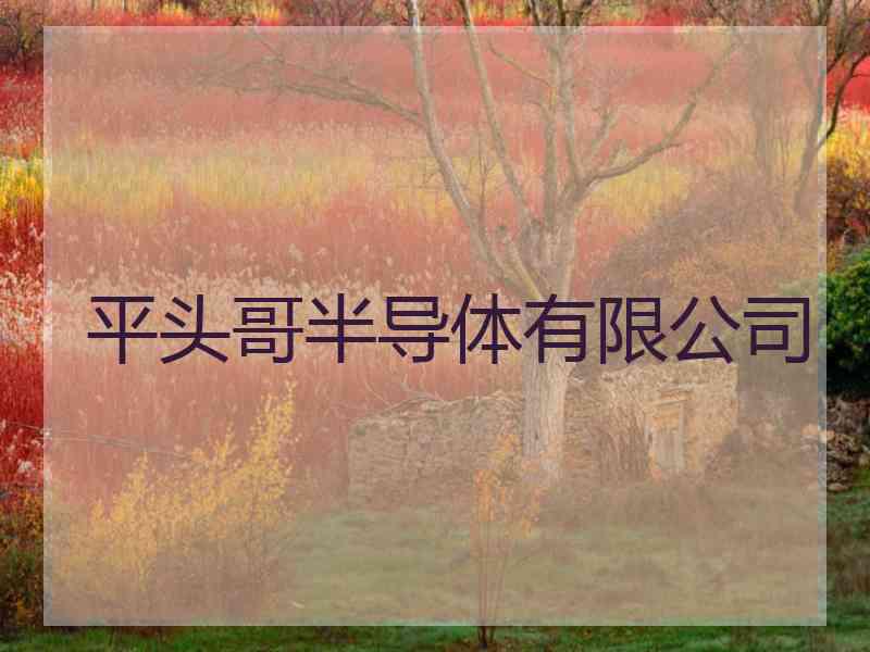 平头哥半导体有限公司