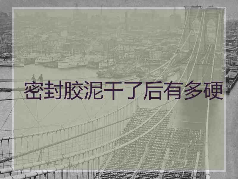 密封胶泥干了后有多硬 密封胶泥干了后有多硬