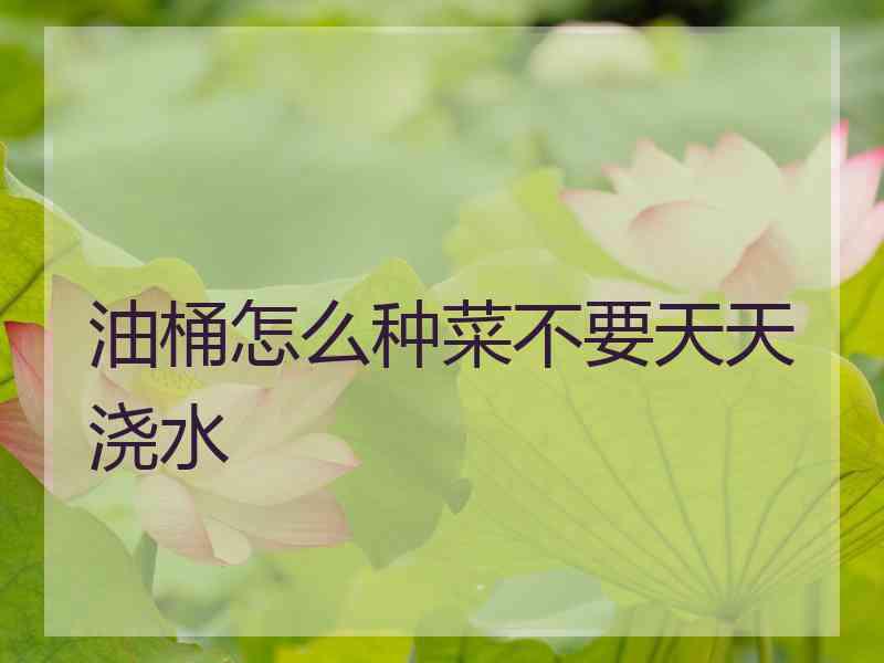 油桶怎么种菜不要天天浇水