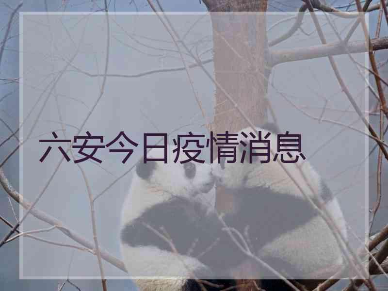 六安今日疫情消息