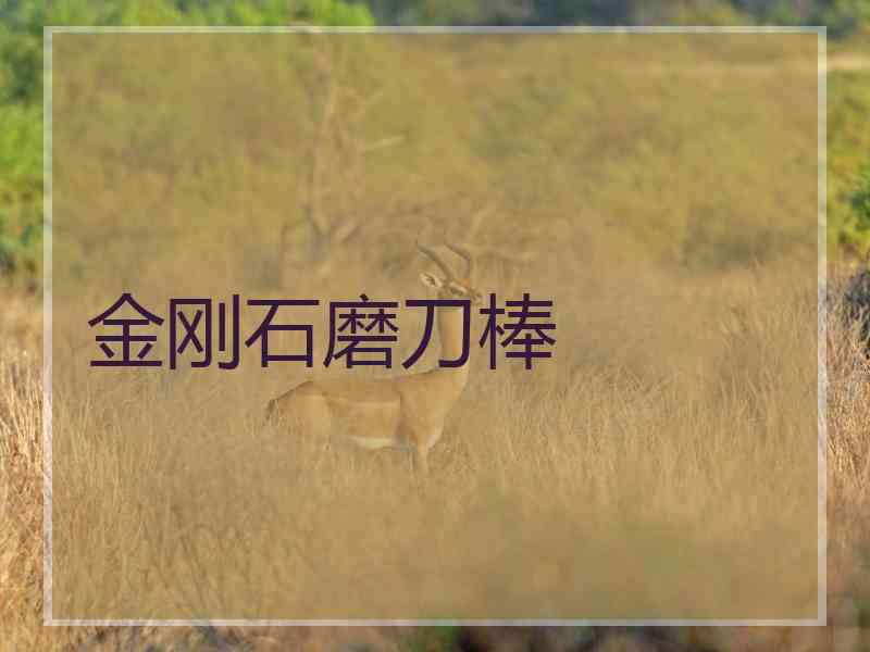 金刚石磨刀棒