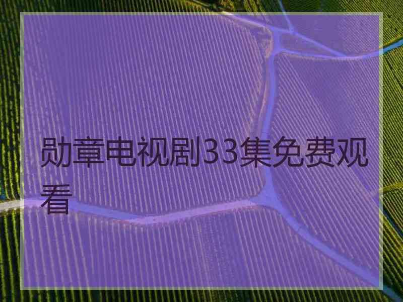 勋章电视剧33集免费观看 勋章电视剧33集免费观看