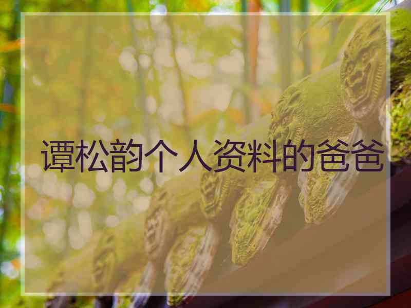 谭松韵个人资料的爸爸