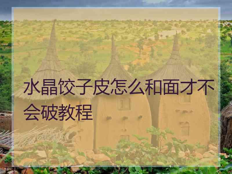 水晶饺子皮怎么和面才不会破教程