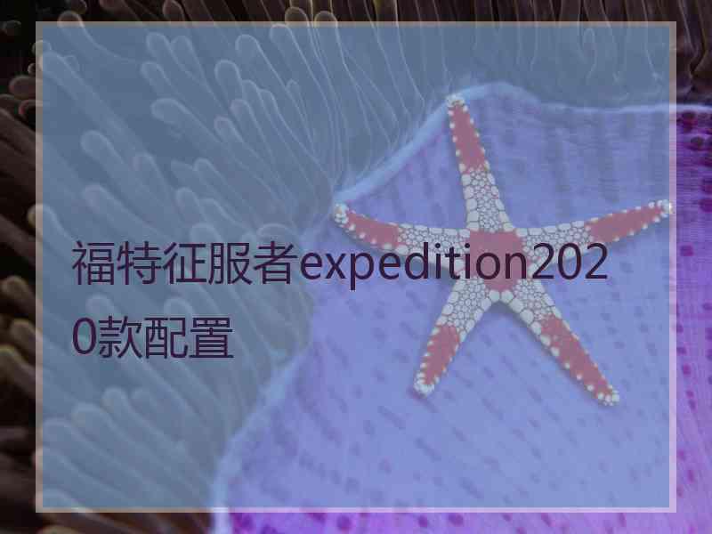 福特征服者expedition2020款配置