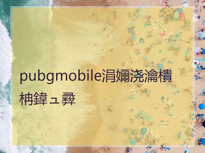 pubgmobile涓嬭浇瀹樻柟鍏ュ彛