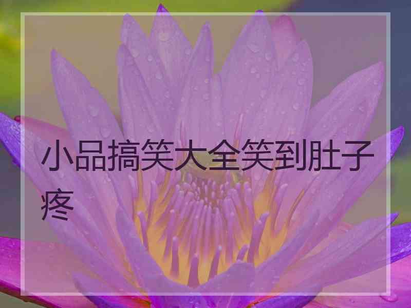 小品搞笑大全笑到肚子疼