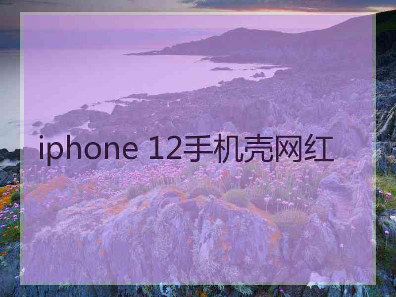 iphone 12手机壳网红