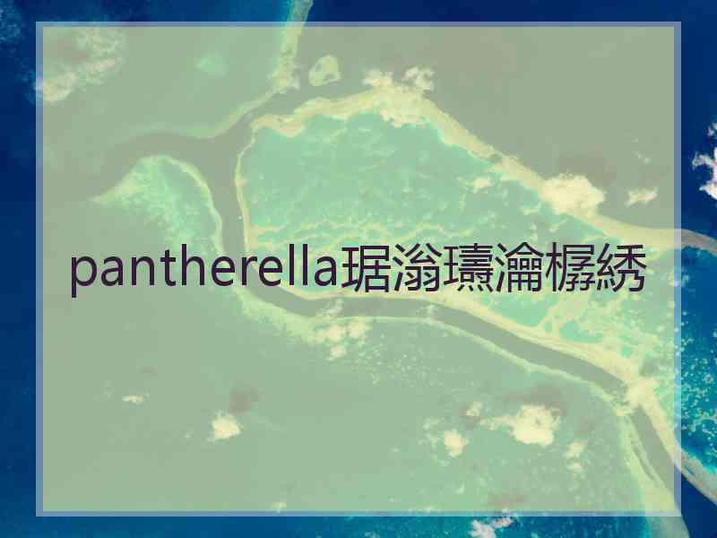 pantherella琚滃瓙瀹樼綉