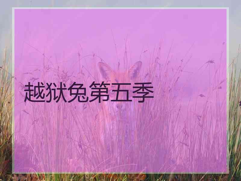 越狱兔第五季
