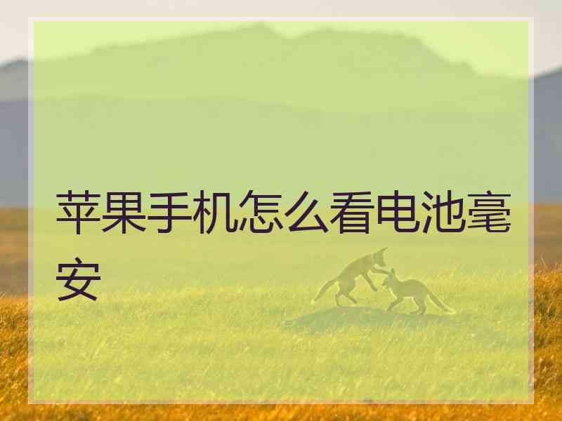 苹果手机怎么看电池毫安