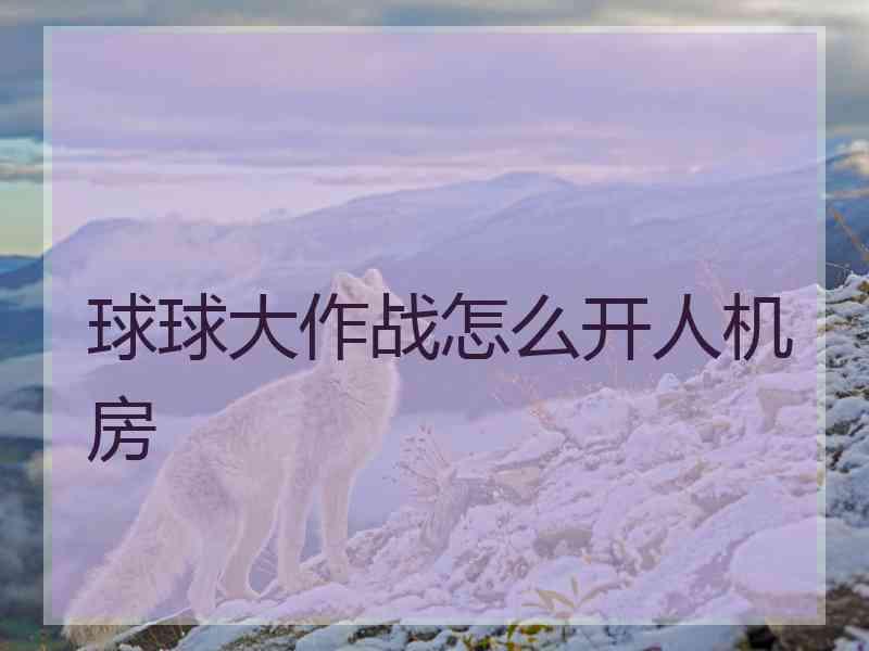 球球大作战怎么开人机房