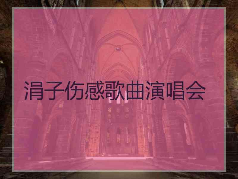 涓子伤感歌曲演唱会 涓子伤感歌曲演唱会