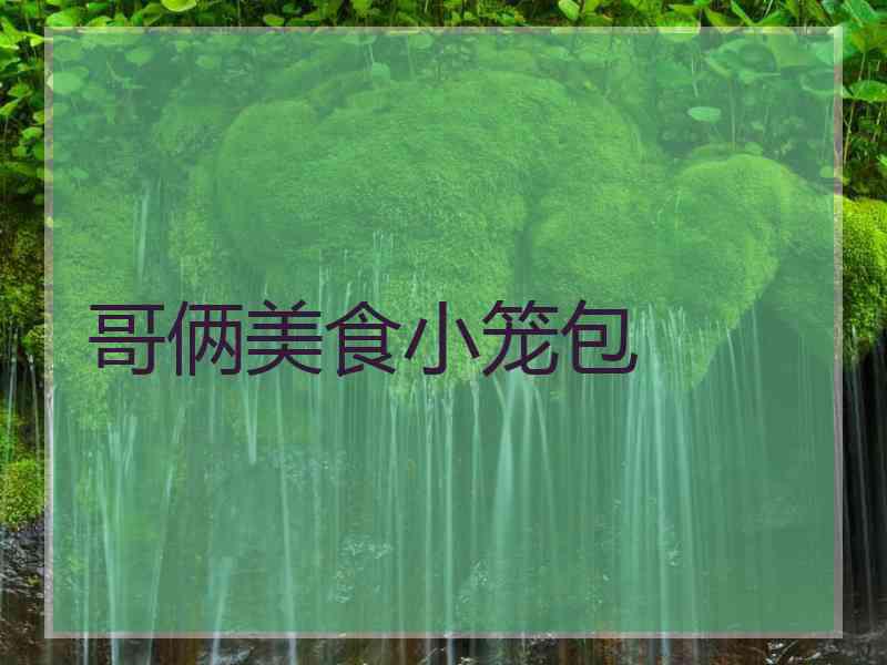 哥俩美食小笼包 哥俩美食小笼包