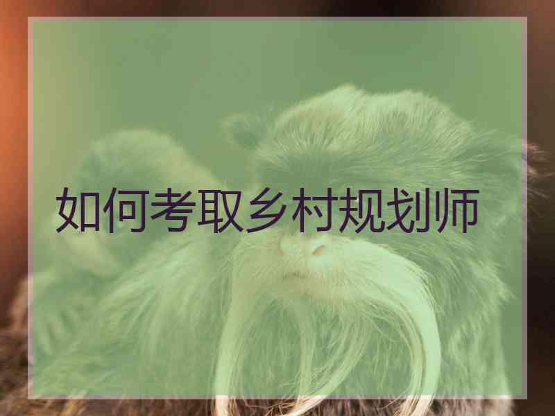 如何考取乡村规划师