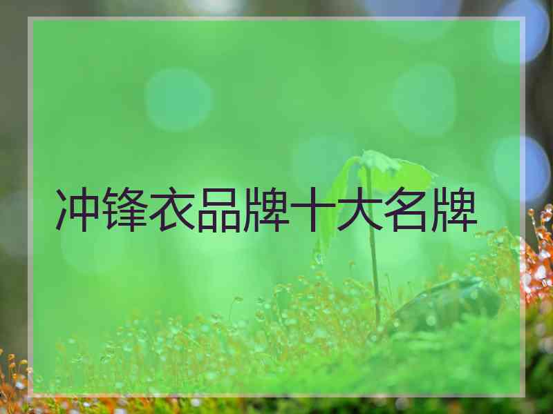 冲锋衣品牌十大名牌