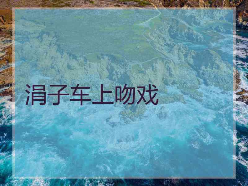 涓子车上吻戏