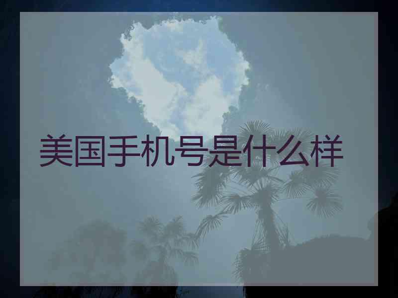 美国手机号是什么样