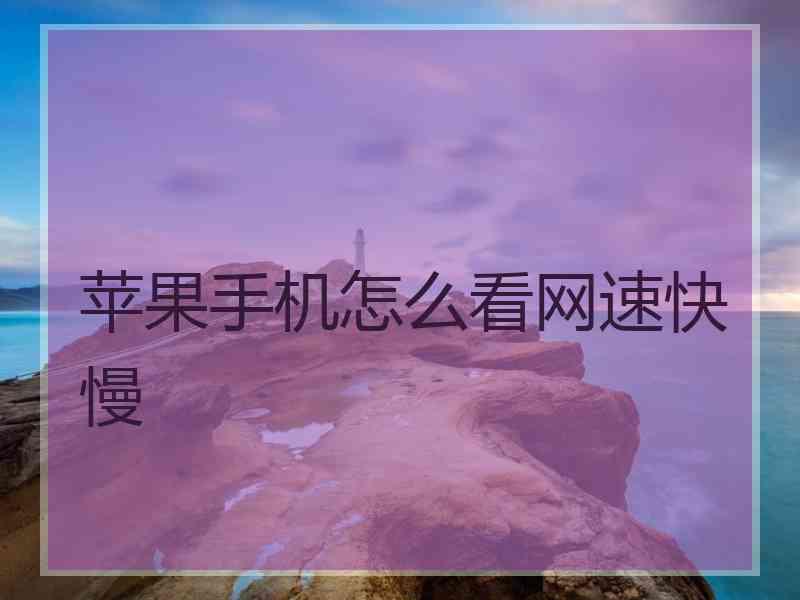 苹果手机怎么看网速快慢