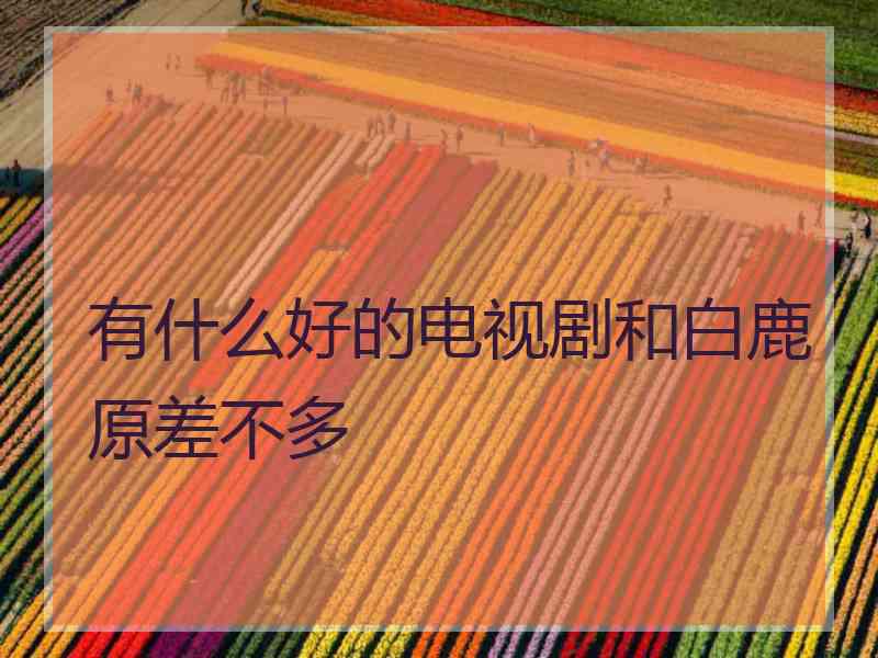 有什么好的电视剧和白鹿原差不多
