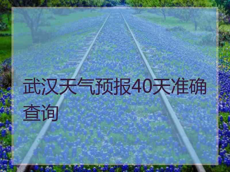 武汉天气预报40天准确查询