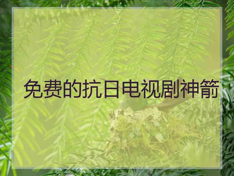 免费的抗日电视剧神箭