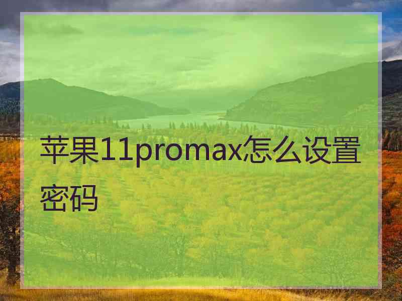 苹果11promax怎么设置密码