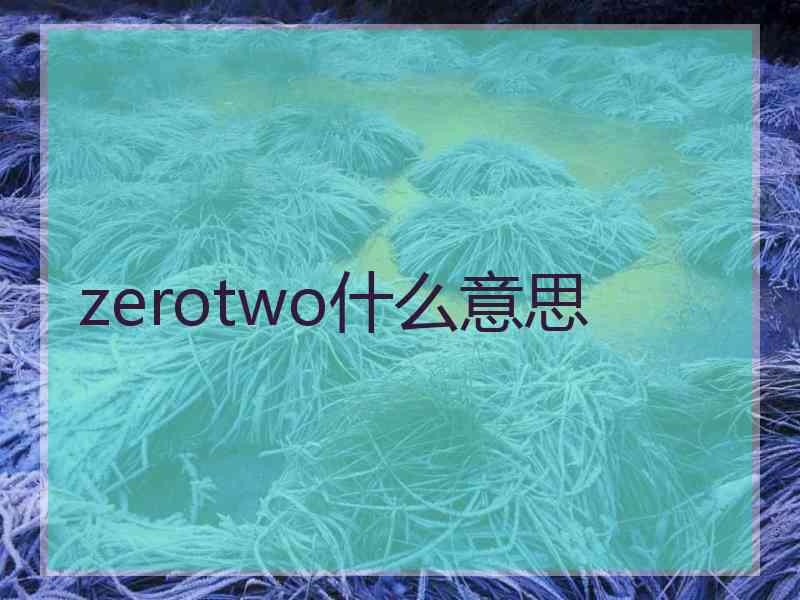 zerotwo什么意思 zerotwo什么意思