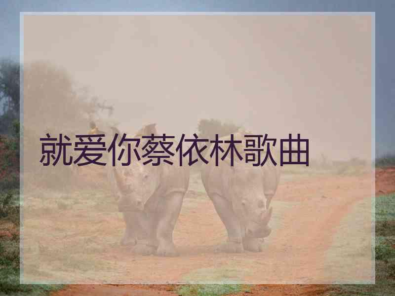 就爱你蔡依林歌曲 就爱你蔡依林歌曲