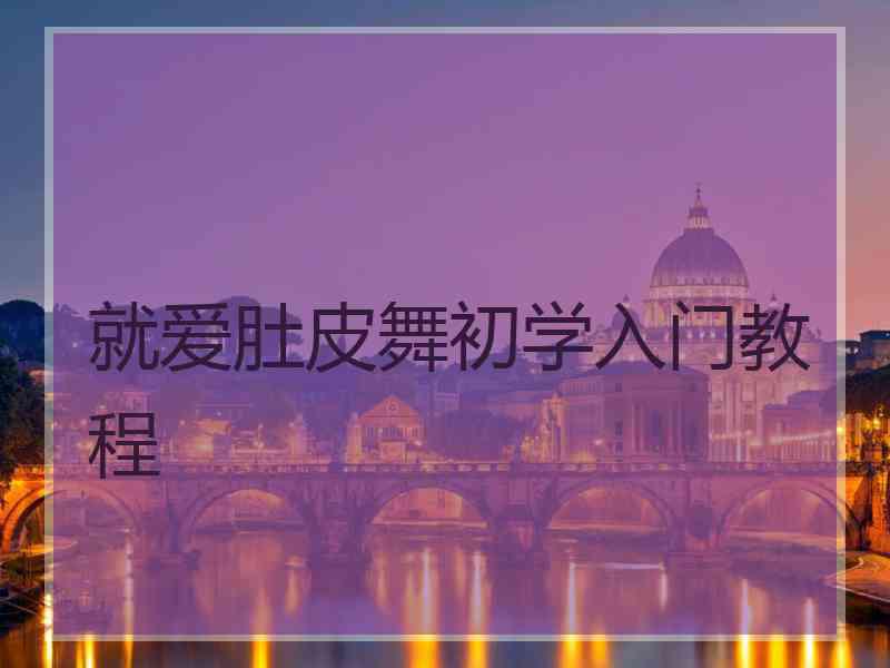 就爱肚皮舞初学入门教程 就爱肚皮舞初学入门教程