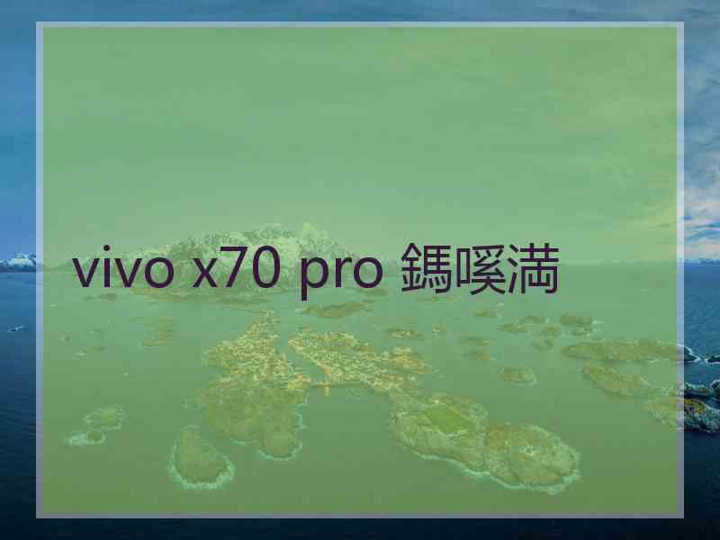 vivo x70 pro 鎷嗘満