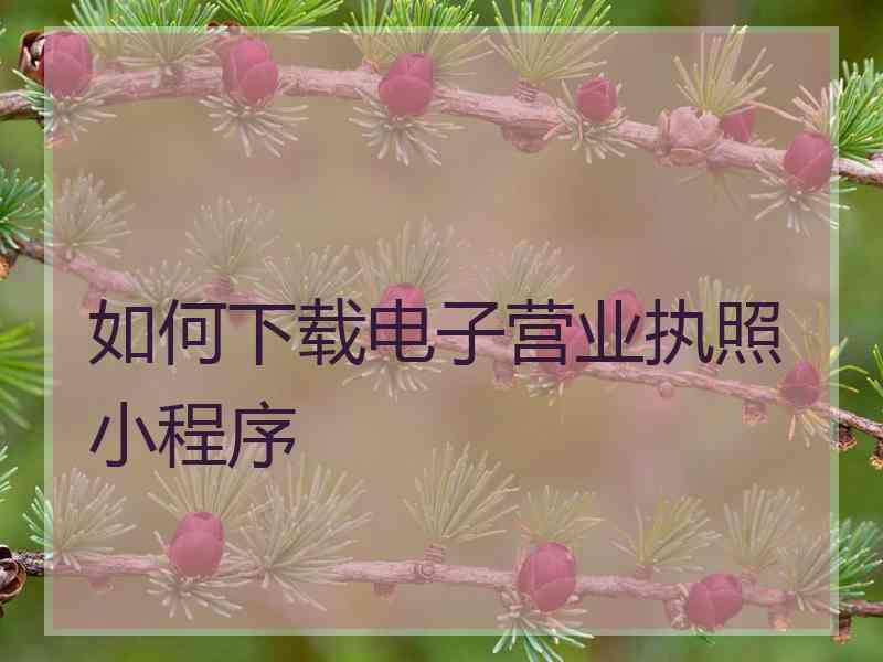 如何下载电子营业执照小程序