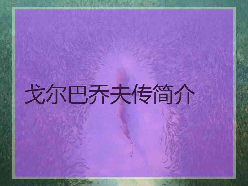 戈尔巴乔夫传简介