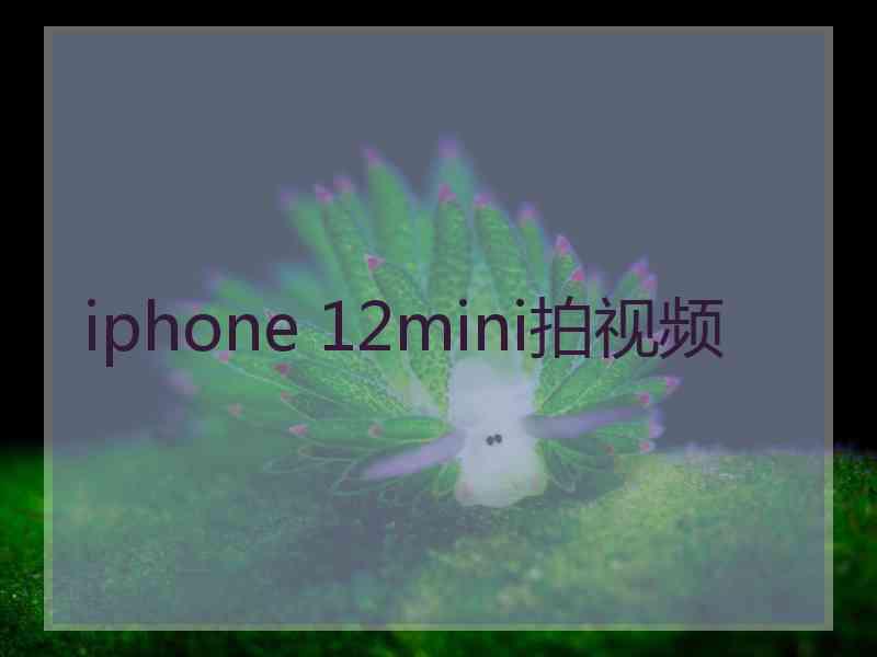 iphone 12mini拍视频