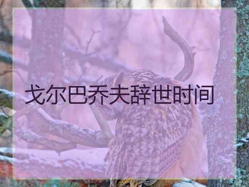 戈尔巴乔夫辞世时间