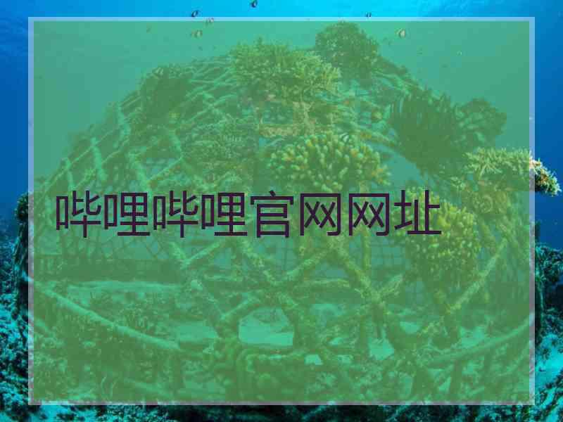 哔哩哔哩官网网址