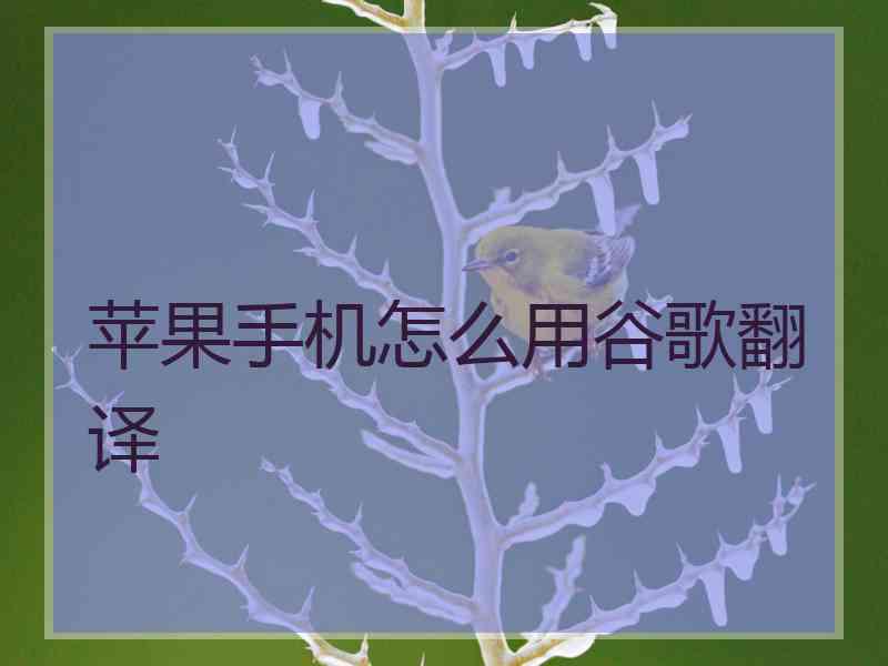 苹果手机怎么用谷歌翻译