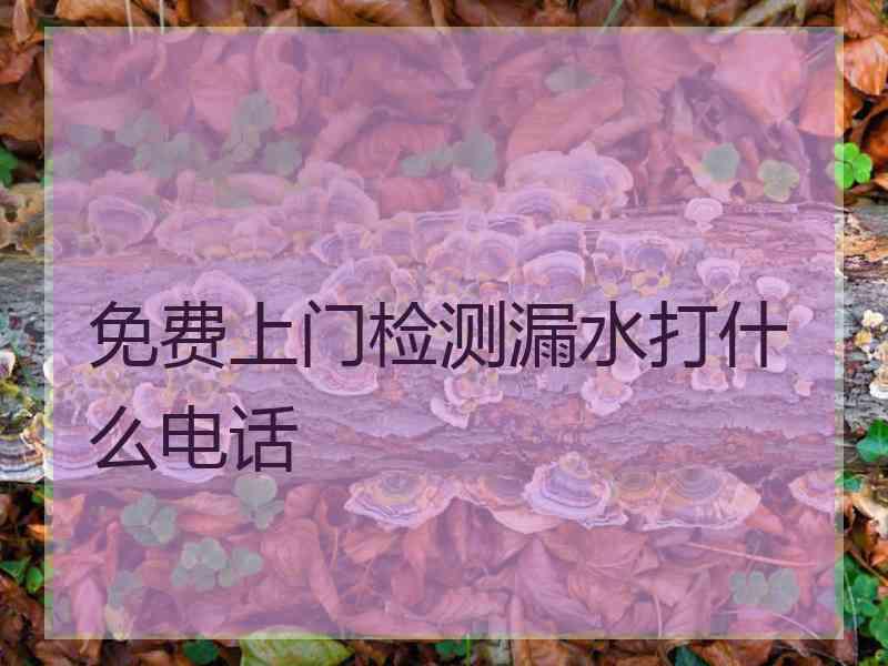 免费上门检测漏水打什么电话