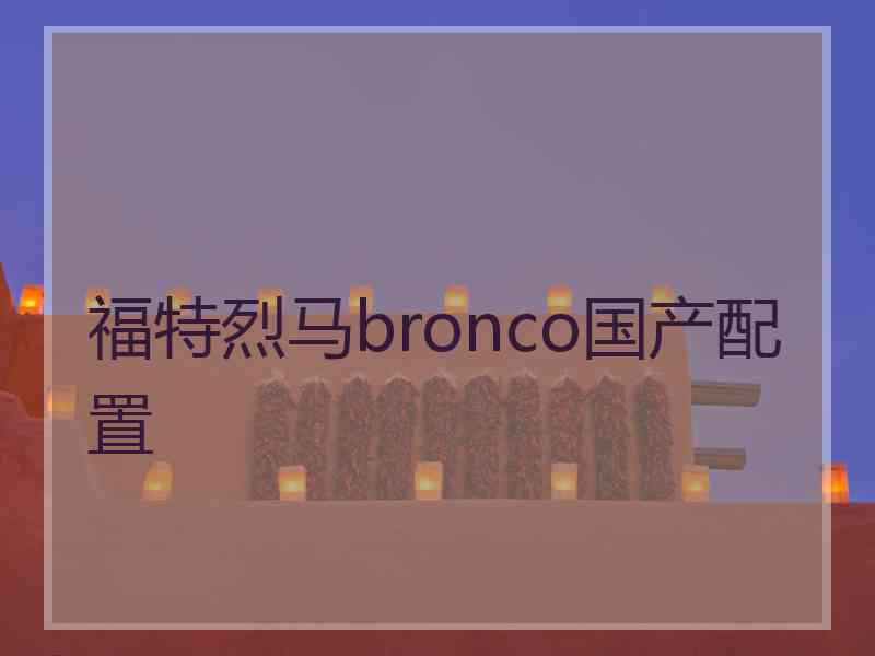 福特烈马bronco国产配置