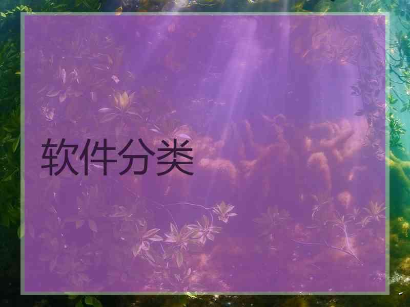 软件分类