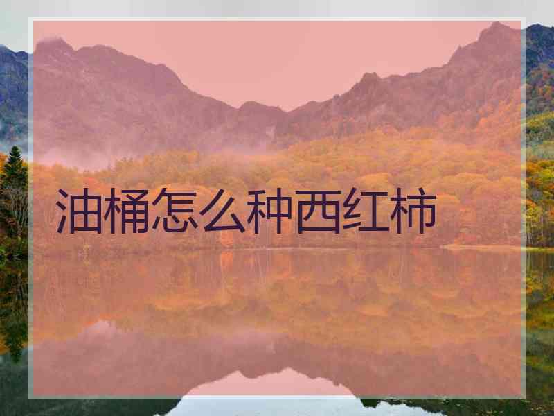 油桶怎么种西红柿