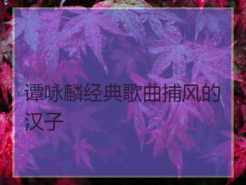 谭咏麟经典歌曲捕风的汉子 谭咏麟经典歌曲捕风的汉子