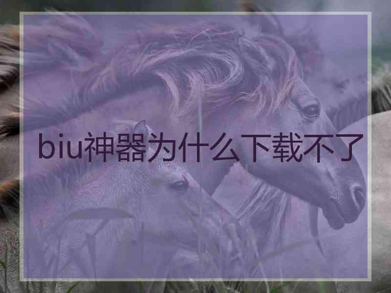 biu神器为什么下载不了
