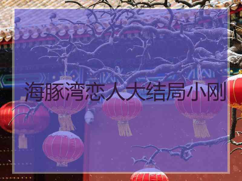 海豚湾恋人大结局小刚