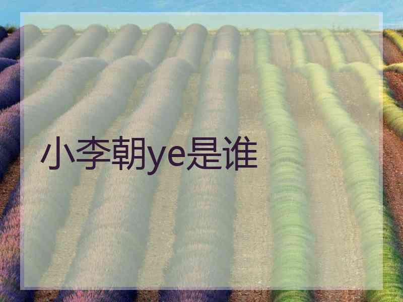 小李朝ye是谁