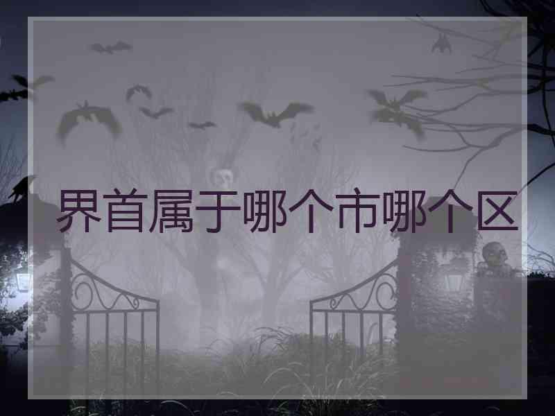 界首属于哪个市哪个区